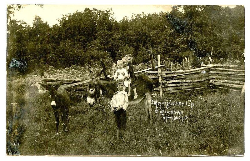 Springdale, 1909: “Enjoying Country Life.” The image is of four children, burros and a split rail fence. “When you come to see Uncle William you may have a ride.” At a population of only 2,000, Springdale was indeed “country” at the time. Today, it's the fourth largest city in Arkansas with almost 90,000 residents.

Send questions or comments to Arkansas Postcard Past, P.O. Box 2221, Little Rock, AR 72203