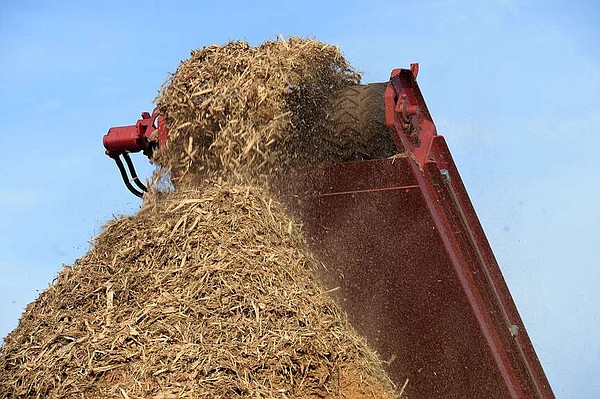 So much mulch: Ample supply results in free giveaway in Fayetteville | Northwest Arkansas Democrat-Gazette - Vimarsana News