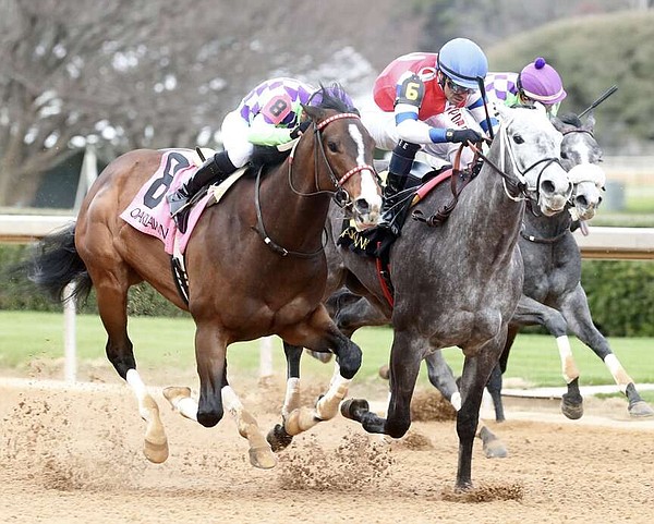 Minnesota-bred Xtreme Diva grabs the cash in Dixie Belle | The Arkansas Democrat-Gazette - Vimarsana News