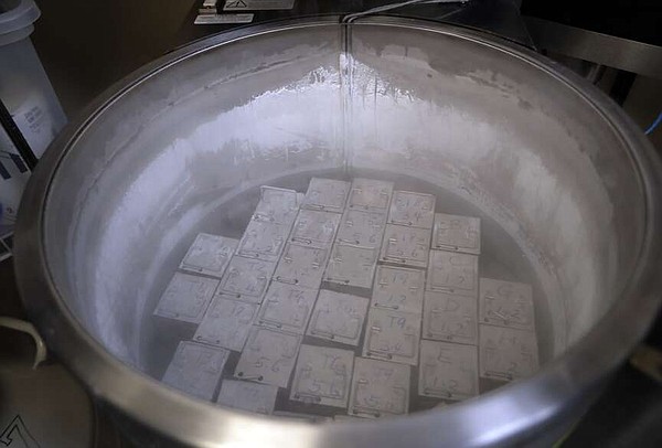 Court: Frozen embryos are kids | The Arkansas Democrat-Gazette - Arkansas' Best News Source - Vimarsana News