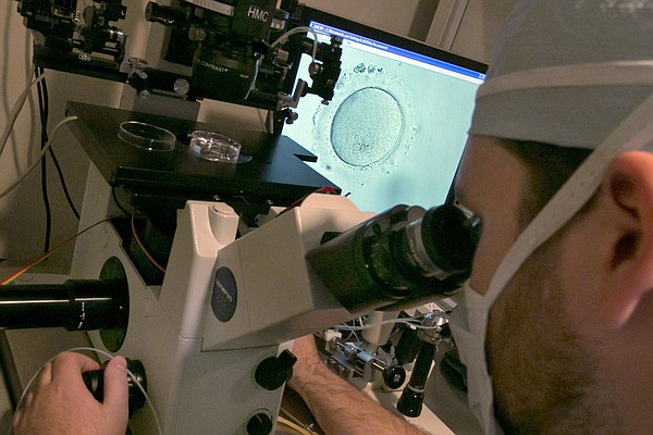 Alabama lawmakers look for IVF solution as patients remain in limbo - Vimarsana News