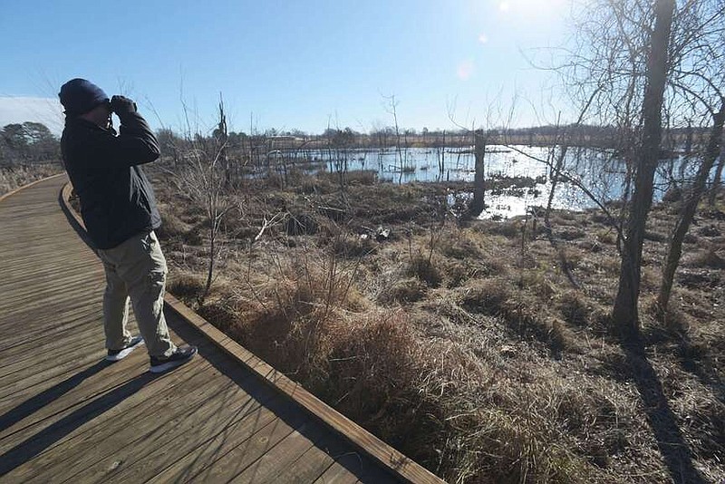 Adam Schaffer of Bentonville scans the Osage Park wetlands for birds in January 2024. The park, operated by The Peel Compton Foundation, has a variety of habitats that make the tract attractive to all kinds of birds.