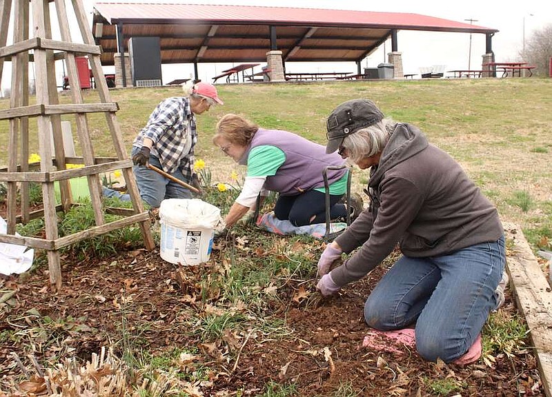 ‘No’ to invasive weed Washington County EnterpriseLeader