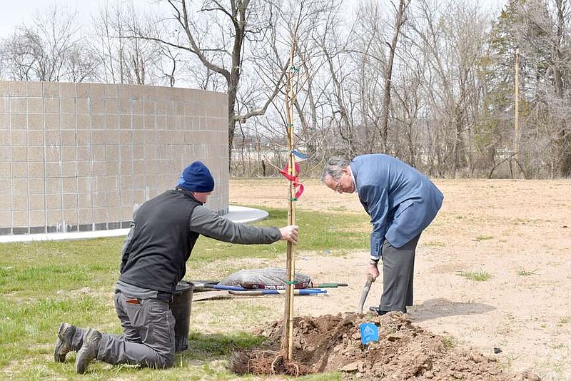 Rachel Dickerson/The Weekly Vista Bella Vista Mayor John Flynn, right, assists David Raines, owner of Raines Tree Care, in planting a bald cypress tree at the Veterans Wall of Honor on March 20 during the Arbor Day celebration.