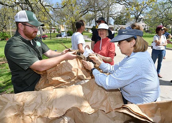 Fayetteville to give away trees March 18 | Northwest Arkansas Democrat-Gazette - Vimarsana News