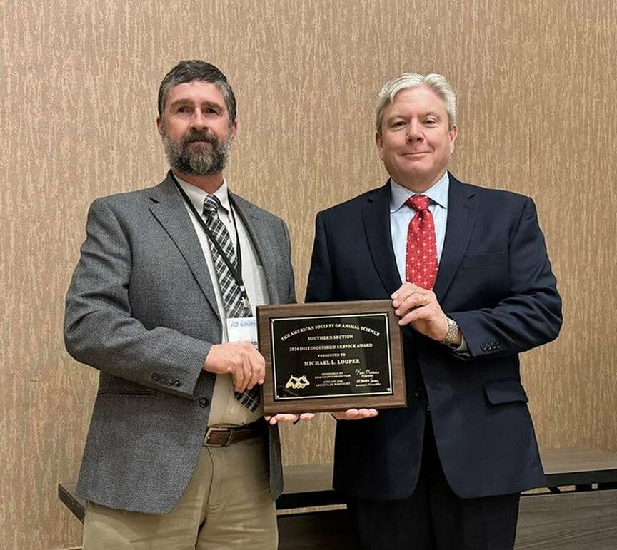 Looper receives service award