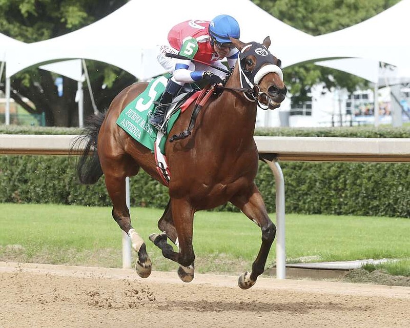 Asternia, ridden by Emmanuel Esquivel, takes the victory in the 22nd running of the Purple Martin Stakes on Saturday at Oaklawn Park. (Submitted photo courtesy of Coady Photography)