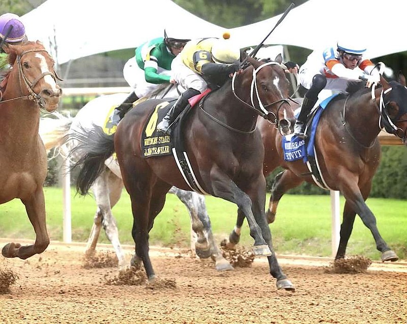 Jaxon Traveler (6) takes a nose victory in the Grade 3, $250,000 Whitmore Stakes Saturday at Oaklawn Park. (Submitted photo courtesy of Coady Media )