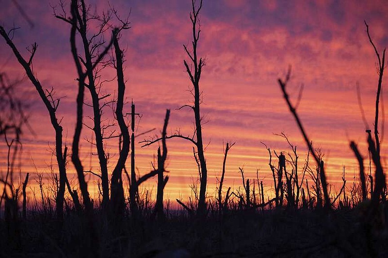 Tree skeletons are seen against the background of sunrise on the front-line near Klishchyivka, Donetsk region, Ukraine, Monday, March 18, 2024. (Iryna Rybakova via AP)