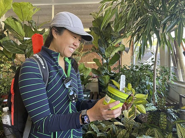 Garden centers hoping to grow after pandemic | The Arkansas Democrat-Gazette - Vimarsana News