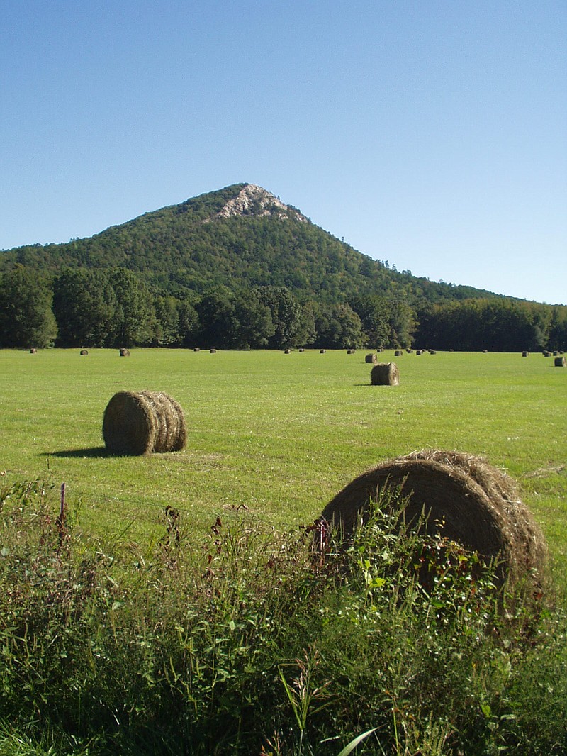 Mount Pinnacle
Bales of hay in a pasture beneath Mt Pinnacle in Pulaski County, Arkansas
by kevin quinn, extension video specialist