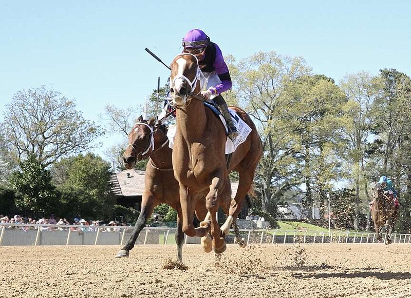 Eyeing Clover, under Florent Geroux, takes last year's $200,000 Hot Springs Stakes at Oaklawn Park, April 1, 2023. (Submitted photo courtesy of Coady Photography)