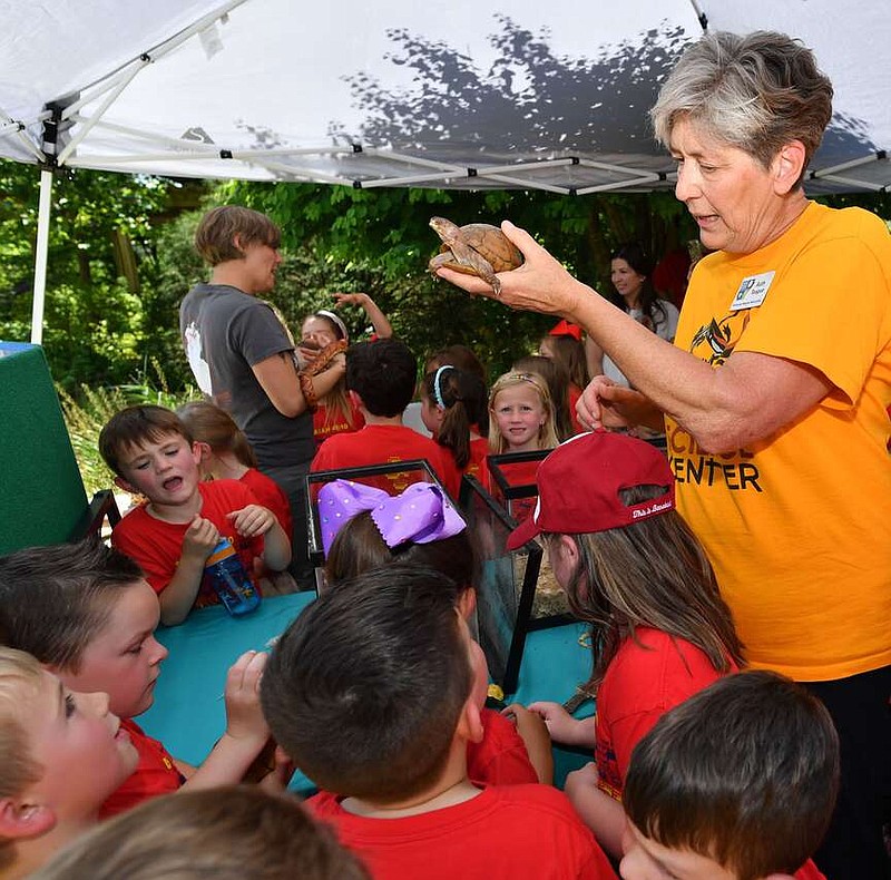 Ruth Teague, an Arkansas Master Naturalist and volunteer at Ozark Natural Science Center, holds a three-toed box turtle named Willy Thursday, May 12, 2022, for students from Shiloh Christian School in Springdale to see during an Earth Day event at the Botanical Garden of the Ozarks in Fayetteville.(NWA Democrat-Gazette/Andy Shupe)