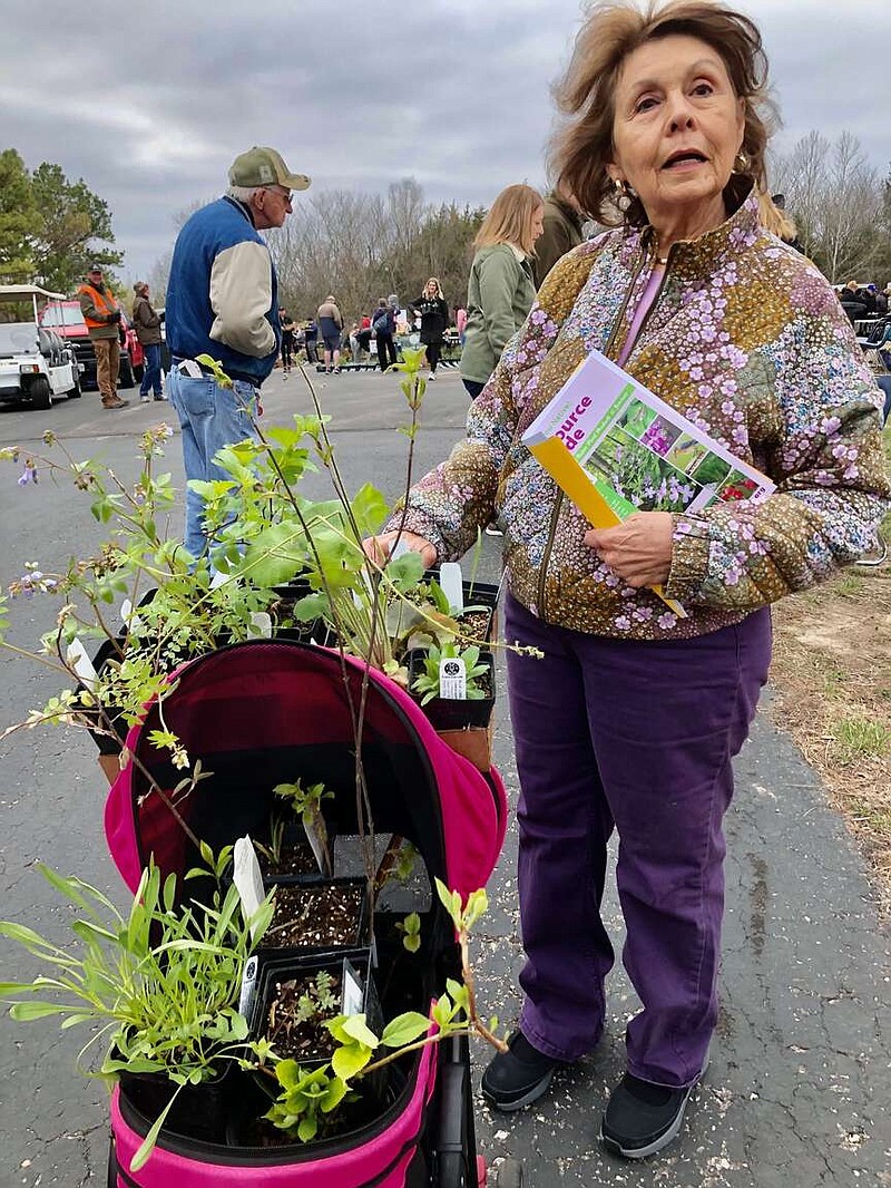 Joe Gamm/News Tribune photo:
Kathy Pelegrin loads up on native plants Saturday morning during the 19th annual Native Plant Sale at the Runge Conservation Nature Center. Pelegrin said she has a hillside in her backyard that she wants to cover with native plants.