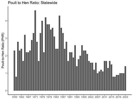 graphic courtesy of MDC
Missouri statewide poult-to-hen ratio from 1959-2023