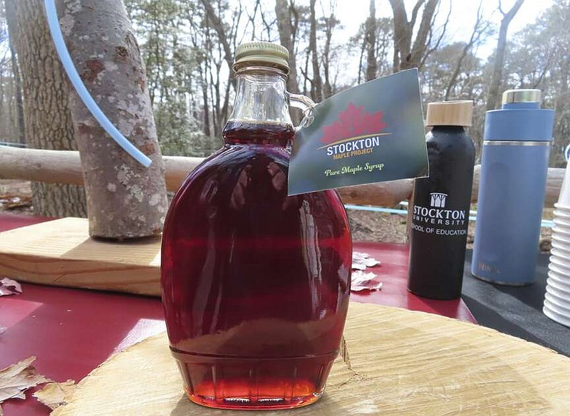 A bottle of maple syrup produced by Stockton University's Maple Project sits an an outdoor table at the university's Galloway, N.J. campus on Feb. 21, 2024. The university is using a federal grant to examine the feasibility of establishing a maple syrup industry in southern New Jersey, where the predominant maple trees yield half as much sugar as those in New England, which produces most of the nation's syrup. (AP Photo/Wayne Parry)