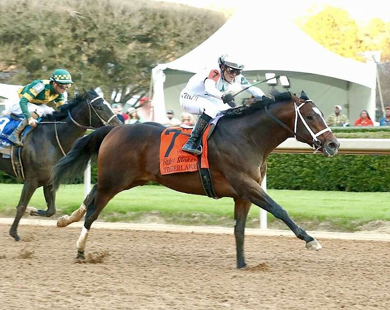 Trained by Brad Cox, with Cristian Torres aboard, Timberlake wins the $1.25 million Rebel Stakes on Feb. 24 at Oaklawn Park. (Submitted photo courtesy of Coady Photography)