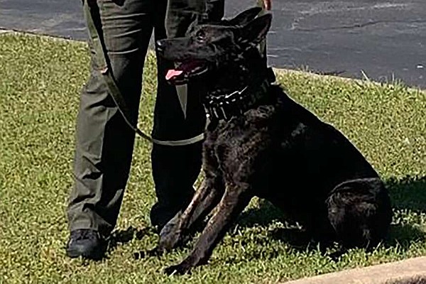 WATCH | Miller County Sheriff’s Office introduces K9 Officer Jett ...