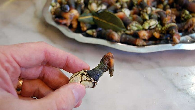 Tiny percebes – barnacles – are a local specialty in northwest Spain.