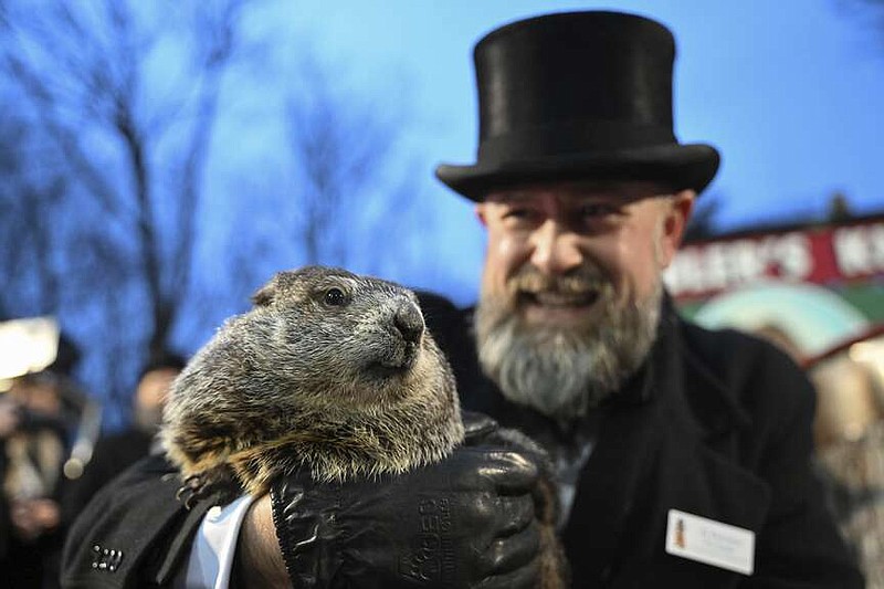 FILE - Groundhog Club handler A.J. Dereume holds Punxsutawney Phil, the weather prognosticating groundhog, during the 138th celebration of Groundhog Day on Gobbler's Knob in Punxsutawney, Pa., Friday, Feb. 2, 2024.  The Punxsutawney Groundhog Club announced that Phil and his wife Phyllis, have become parents of two groundhog babies on Wednesday, March 27. Phil is credited by many with predicting whether an early spring is coming based on whether he sees his shadow on Feb. 2 each year.  (AP Photo/Barry Reeger, File)