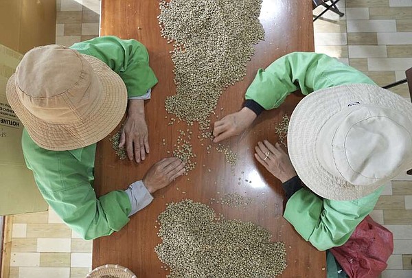EU deforestation laws reach coffee | The Arkansas Democrat-Gazette - Arkansas' Best News Source - Vimarsana News