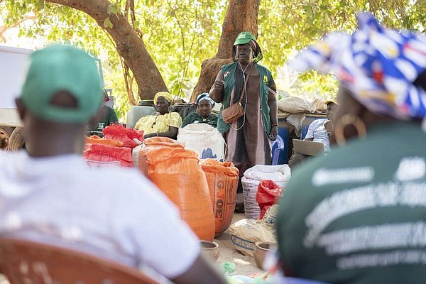 Training center in West Africa helps female farmers prosper | The Arkansas Democrat-Gazette - Vimarsana News