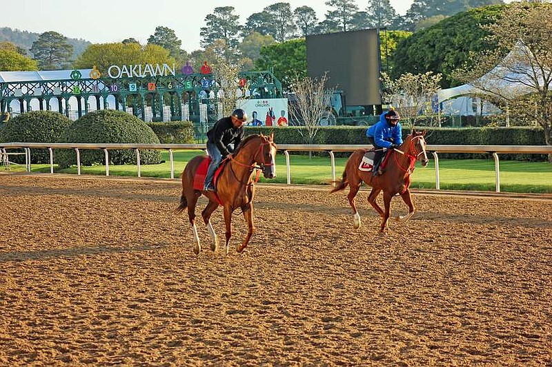 Exercise riders ride by the gate at Oaklawn Racing Casino Resort Friday morning in anticipation of the Arkansas Derby. The Grade 1 $1.5 million race is the biggest race of the entire meet with up to 200 Kentucky Derby points available. (The Sentinel-Record/James Leigh)
