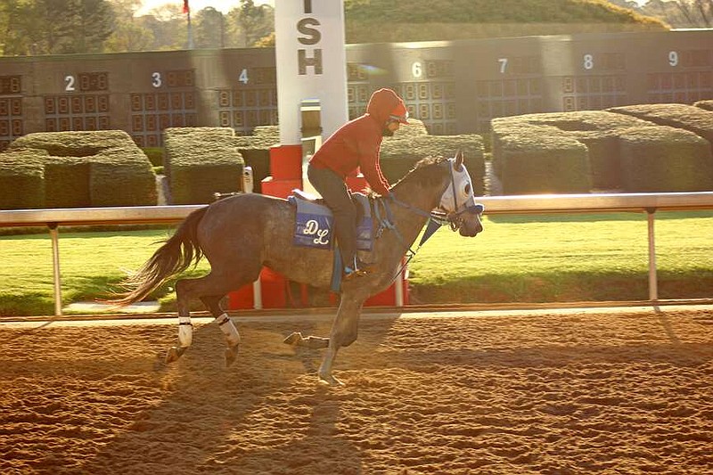 An exercise rider works a horse Friday morning at Oaklawn ahead of today's Arkansas Derby. (The Sentinel-Record/James Leigh)