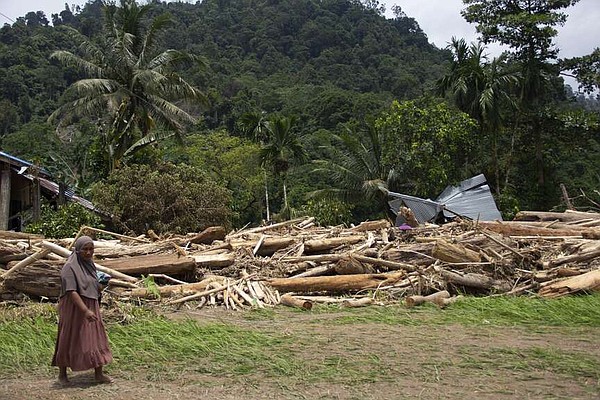 Deforestation in Indonesia intensifies disasters from severe weather and climate change - Vimarsana News