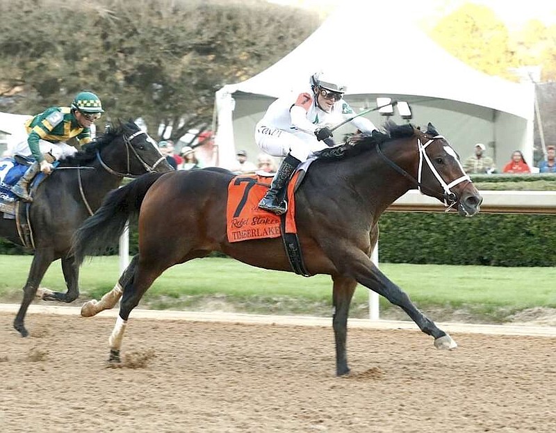 Timberlake posts a two-length victory in the $1,250,000 Rebel Stakes (G2) for 3-year-olds on Feb. 24 at Oaklawn Park. (Submitted photo courtesy of Coady Photography)