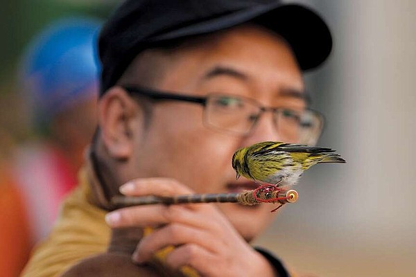 Avian athletics: Beijingers play fetch with migratory birds in traditional game | The Arkansas Democrat-Gazette - Vimarsana News