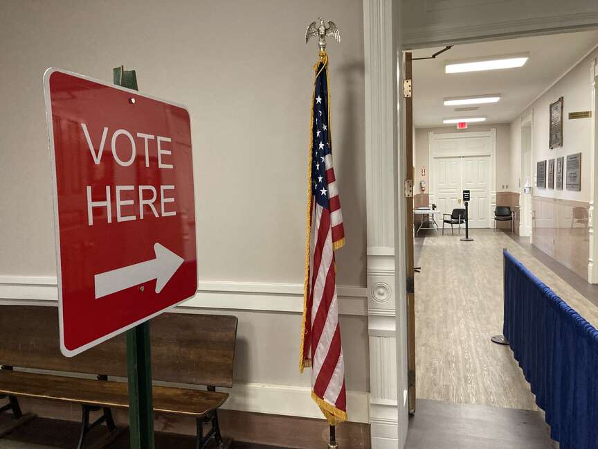 Voting details released