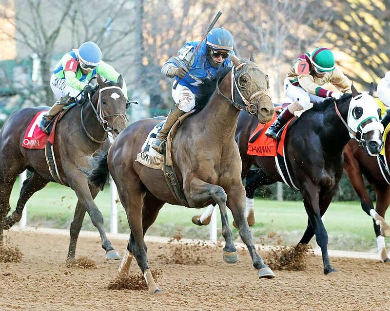 Oaklawn's Derby representatives figure to include Catching Freedom. (Photo courtesy of Coady Photography)