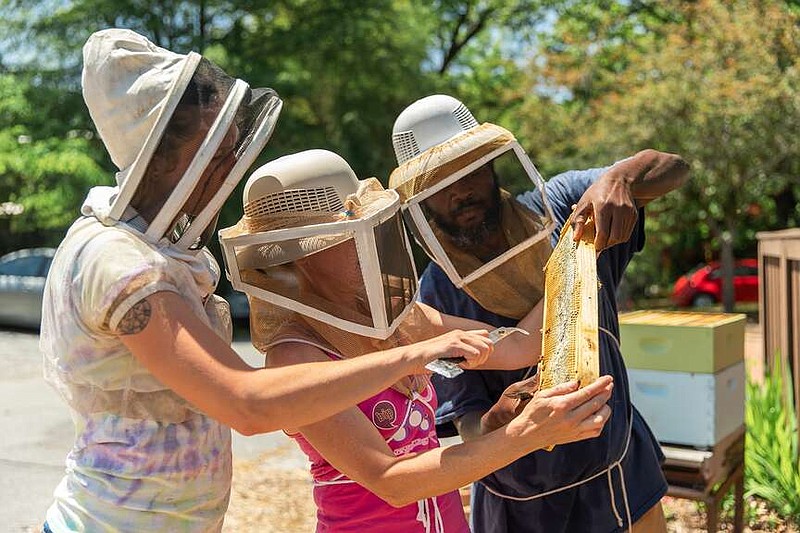 Lauren Anderson helps harvest the honey at UAMS. She will on hand to talk about beekeeping and give a taste of UAMS local honey.
(Special to the Democrat-Gazette)