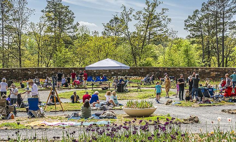 People gather in the Sensory Garden at Garvan Woodland Gardens in preparation for the total solar eclipse on Monday. (Submitted photo courtesy of Julia Mann at Garvan Woodland Gardens)