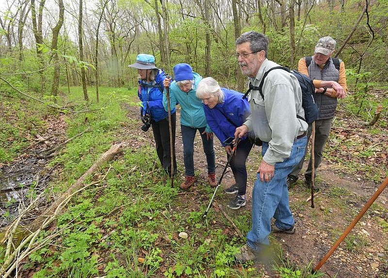 BLOSSOMS ON THE BATTLEFIELD
 Julie Stroud (from left), Eleanor Jones, Peggy Bulla, Fred Paillet and Cris Jones look at wildflowers Wednesday during a Wildflower Wednesday hike at Pea Ridge National Military Park. The group saw an array of wildflowers including wild ginger, blue phlox and yellow violets at the Civil War battlefield. Hike leader Paillet of Fayetteville is an accomplished researcher, scientist and author on a number of nature subjects. Wildflower Wednesdays are a series of wildflower walks at various locations hosted by the Sugar Creek chapter of the Ozark Society. The next walk will be at 10 a.m. Wednesday along the half-mile Sinking Stream Trail at Hobbs State Park-Conservation Area. All are welcome. Ozark Society membership is not required. Go to nwaonline.com/photos for today's photo gallery.
(NWA Democrat-Gazette/Flip Putthoff)