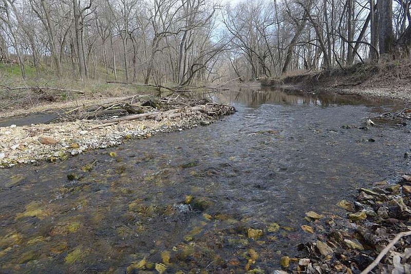 Flint Creek flows clear and picturesque March 1 through Flint Creek Headwaters Preserve on the edge of Springtown in west Benton County. The preserve is open to the public and offers hiking, bird watching and related nature activities.
(NWA Democrat-Gazette/Flip Putthoff)