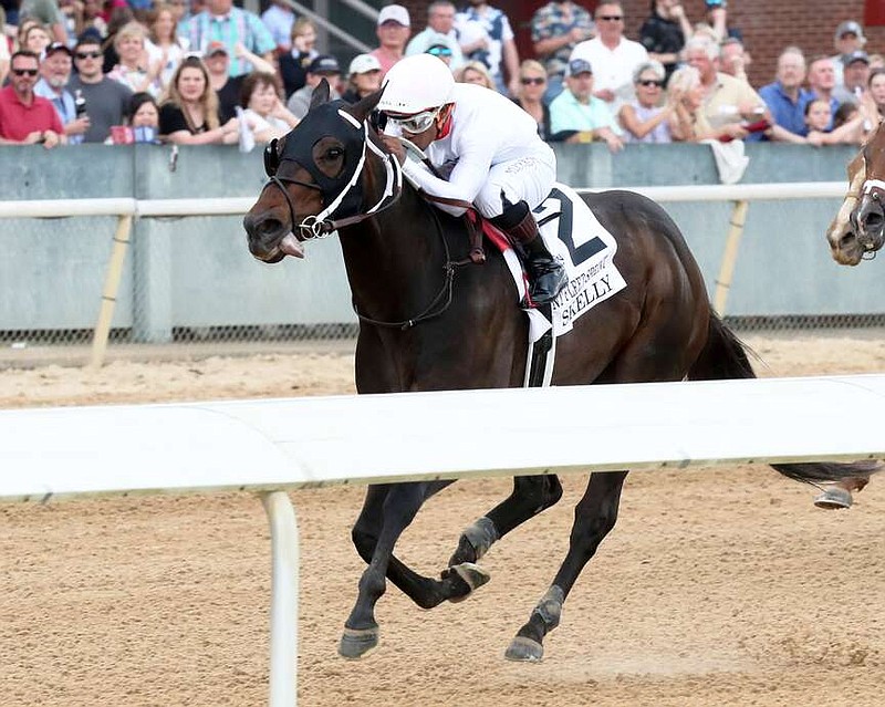 Skelly takes the $500,000 G3 Count Fleet Sprint Handicap on April 15, 2023, at Oaklawn Park. (Submitted photo courtesy of Coady Photography)