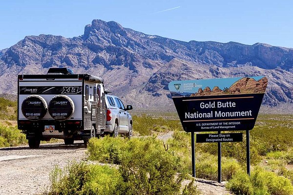 10 Years After Armed Standoff With Federal Agents, Bundy Cattle Still ...