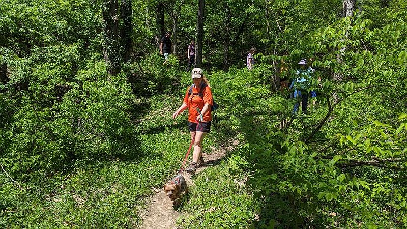 Ryan Pivoney/News Tribune
Theresa Buhr walks her dog through the hiking trail at Green Berry Acres Park during Sunday's community hike. The Jefferson City Trail Users Group leads community hikes through city parks about once a month.