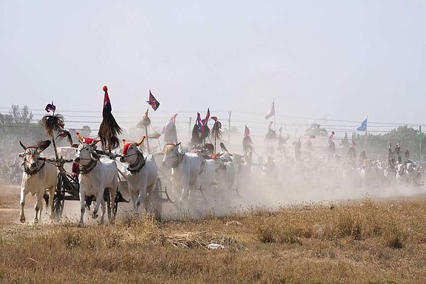 Cambodian villagers hold rare oxcart race, seeking to revive a centuries-old tradition | The Arkansas Democrat-Gazette - Vimarsana News
