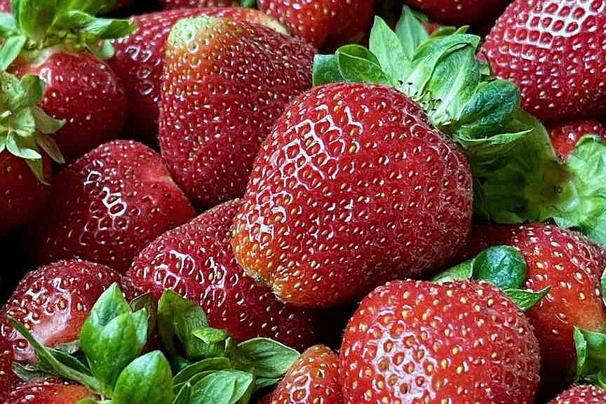 Four fresh recipes starring Arkansas strawberries, plus care and storage tips