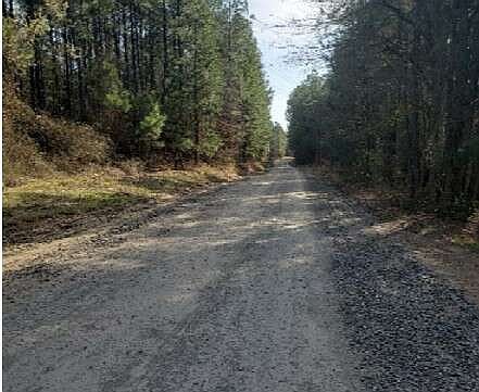 A portion of Miller County Road 22, near Fouke, Ark., is seen in this March 12, 2024, photo. The road became the focus of an Arkansas Department of Energy and Environment's investigation into how the county used old asphalt emulsion. A final report by the agency's Division of Environmental Quality did not find evidence of noncompliance or violations of state law. (Photo by ADEQ)
