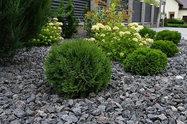 Gravel gardens save time and water | Texarkana Gazette - Vimarsana News