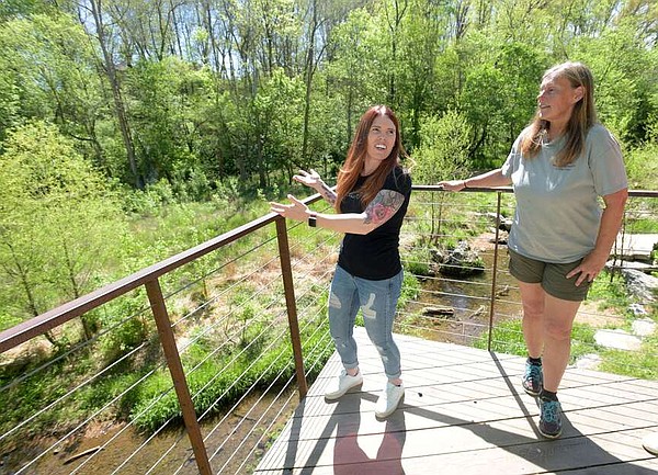 Coler highlights fireflies this summer | The Arkansas Democrat-Gazette - Vimarsana News