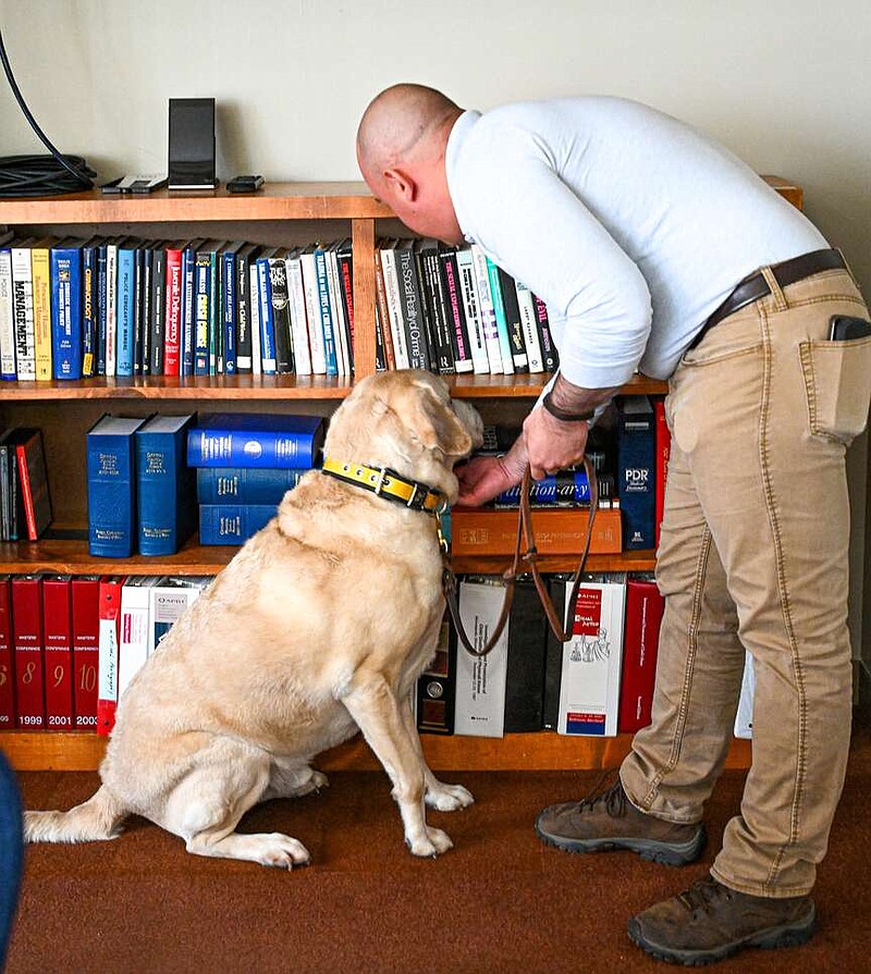 Meet the dog that can smell electronics Fulton Sun