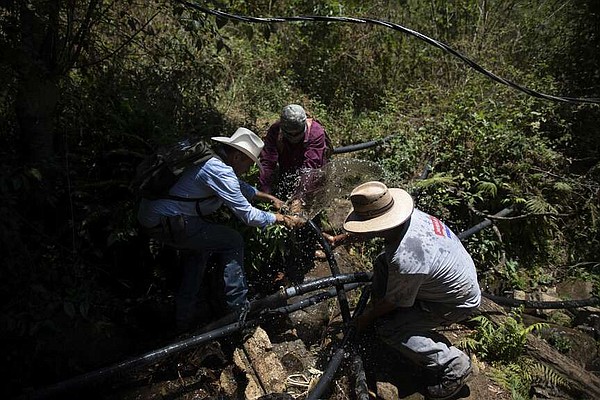 Water for avocados takes away from village residents | The Arkansas Democrat-Gazette - Vimarsana News