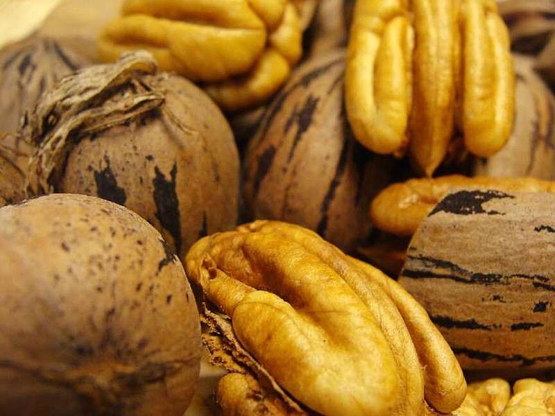 Pecan growers orchard tour set Pine Bluff Commercial News