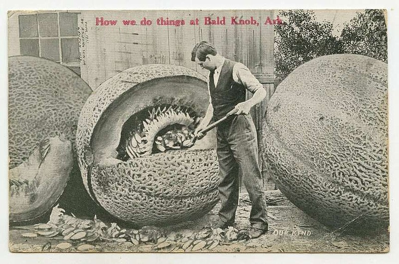 Bald Knob, 1913: “I should send your Papa a piece of this mush melon.” … “Well Gladys has got a gathering in her head again.” Exaggerated postcards, such as this giant cantaloupe, were popular at the time.

Send questions or comments to Arkansas Postcard Past, P.O. Box 2221, Little Rock, AR 72203