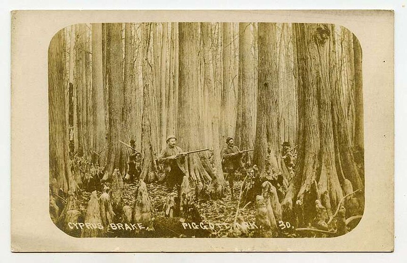 Piggott, circa 1910: The land that made up much of Clay County was once filled with great bottomland forests. A group of hunters posed among huge cypress trees, likely not realizing that most of the trees would one day be cut and the wetlands drained for crop land.

Send questions or comments to Arkansas Postcard Past, P.O. Box 2221, Little Rock, AR 72203